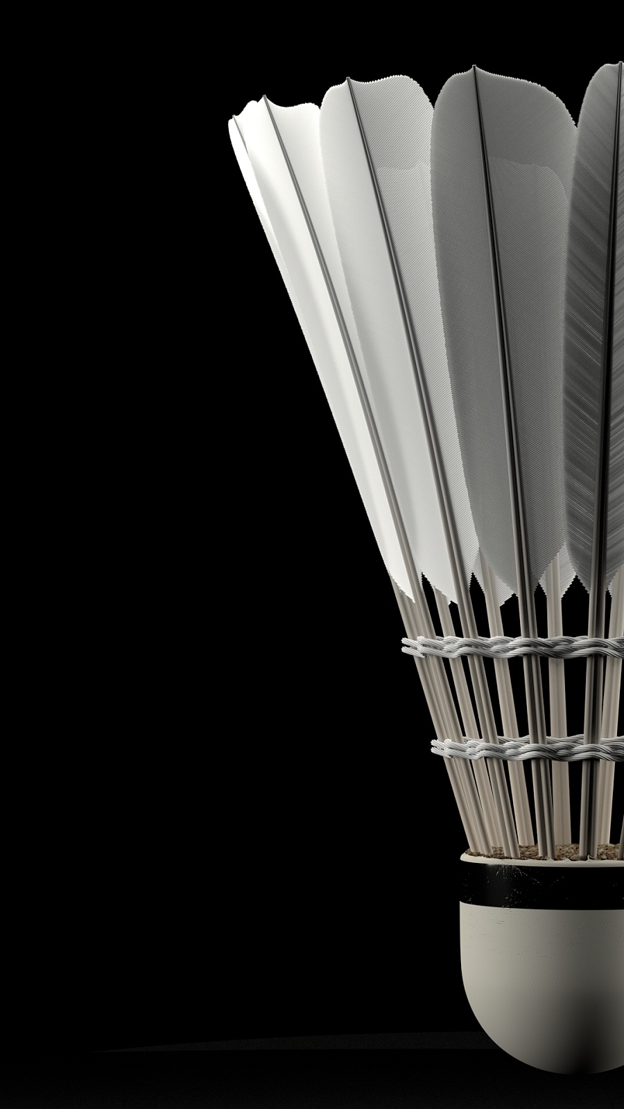 巴洛特利的 巴洛特利的