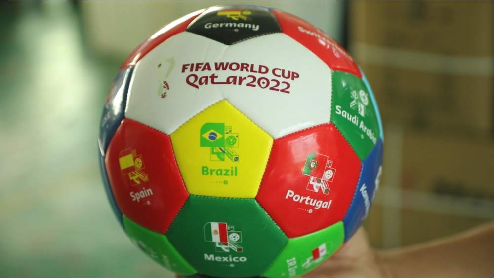 的适应能力 的适应能力