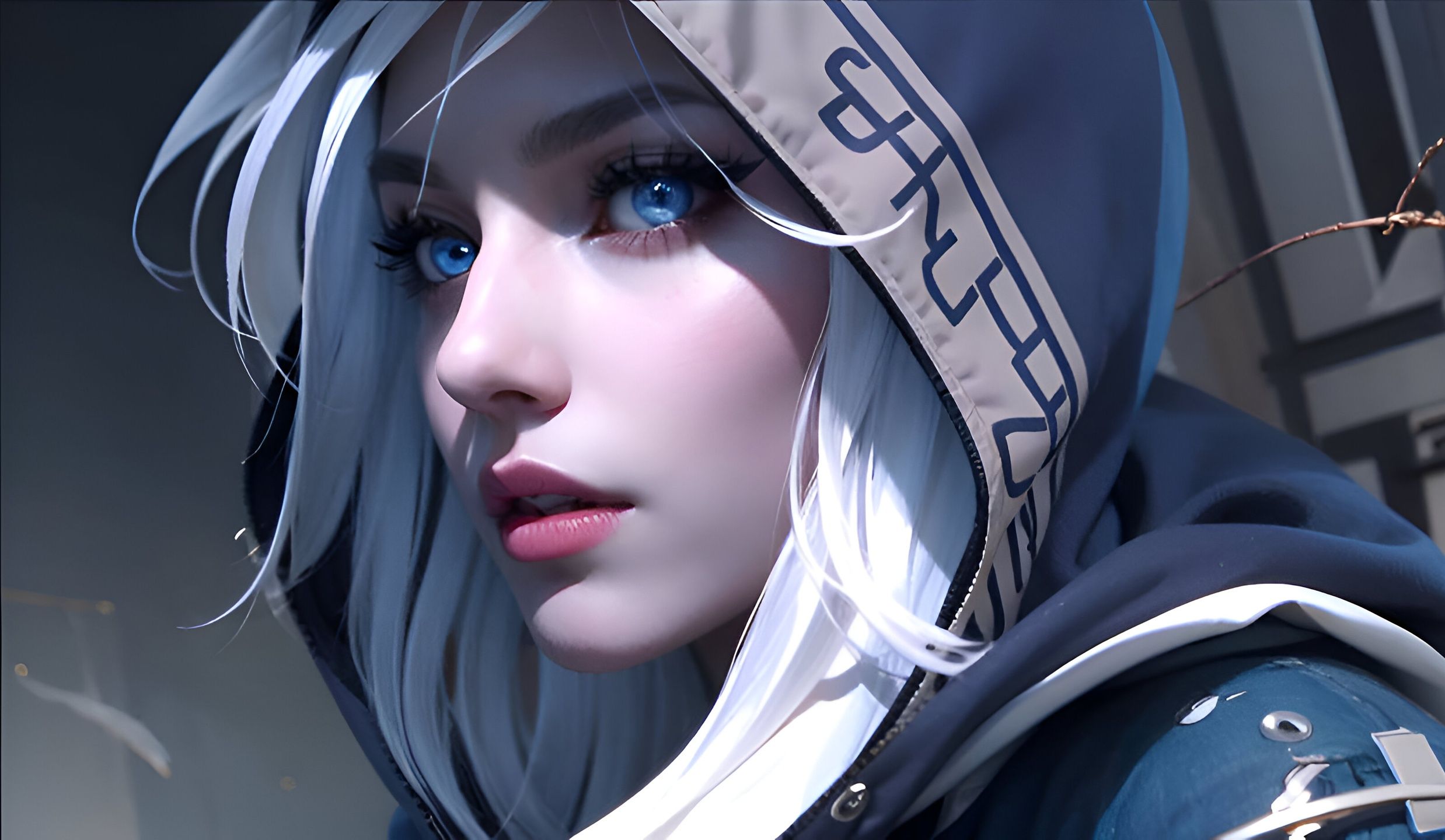 球迷的期望 球迷的期望